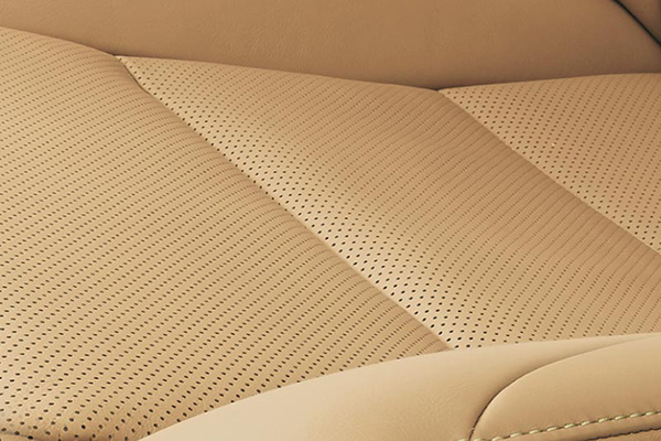 leather-protection.jpg